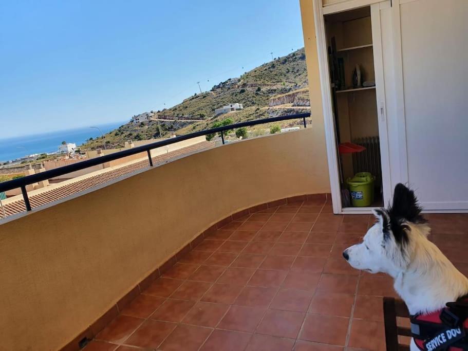 Apartamento 2 Habitaciones En Benalmádena Buitenkant foto